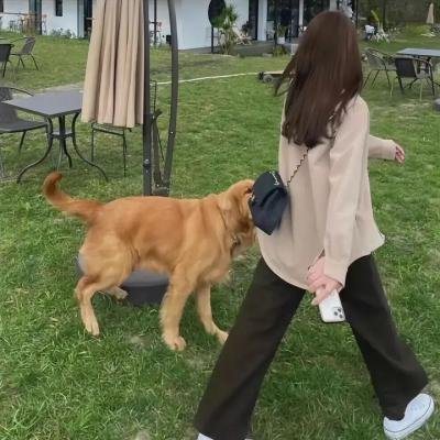 无赖刑警
